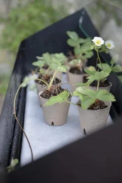 Simply Grow Spire Plantekasse