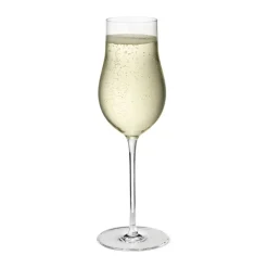 Sky Champagneglas - 6 stk.