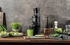 Slow Juicer
