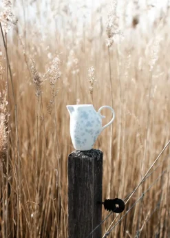 Slåpeblom Kande