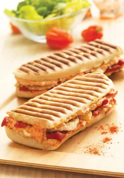 Snack Collection Plade - Panini grill