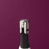 Sommelier Champagneprop