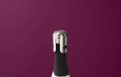 Sommelier Champagneprop
