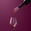 Sommelier Vinilter