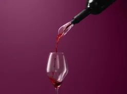 Sommelier Vinilter