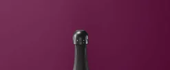 Sommelier Champagnestoppere - 2 stk.