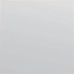 Spejl