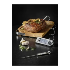 Stegetermometer