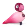 Story Bird - Passion