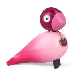 Story Bird - Passion