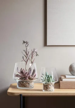 Sukkulent Vase