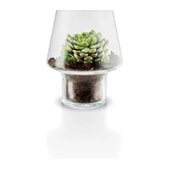 Sukkulent Vase