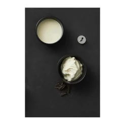 Swissline Stavblender