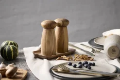 Teak Bakke