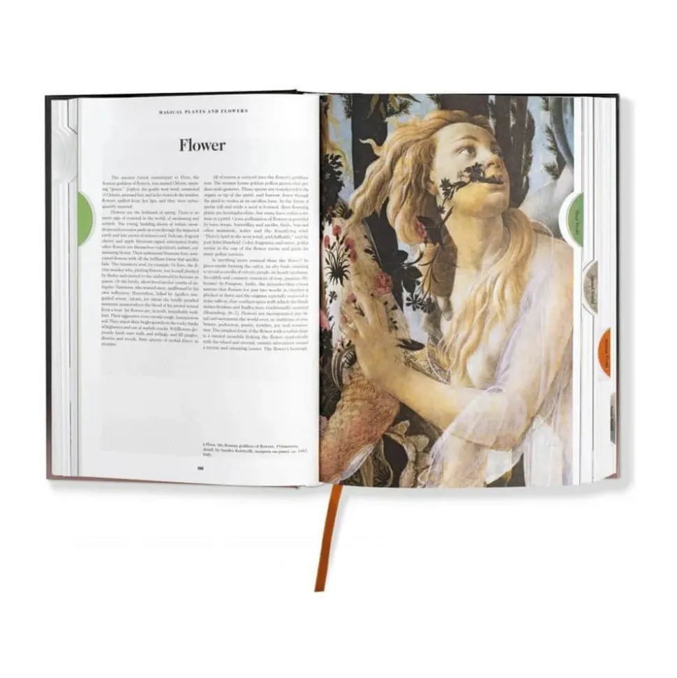 The Book of Symbols. Reflections on Archetypal Images - Af Carl Gustav Jung