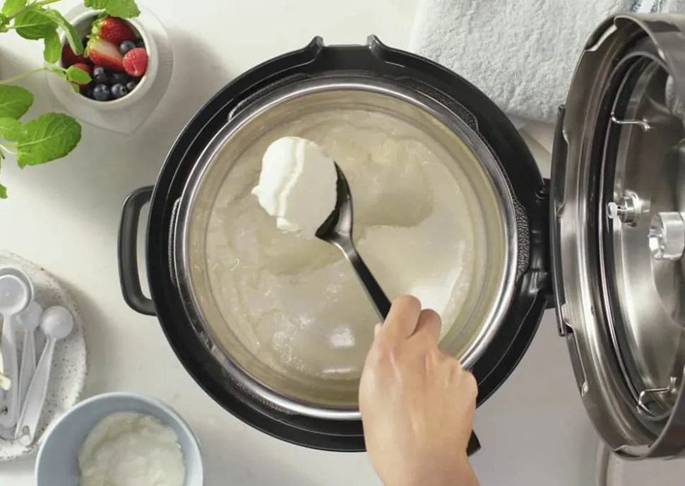 The Fast Slow Go Multicooker