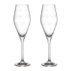 Toy's Delight Champagneglas - 2 stk.