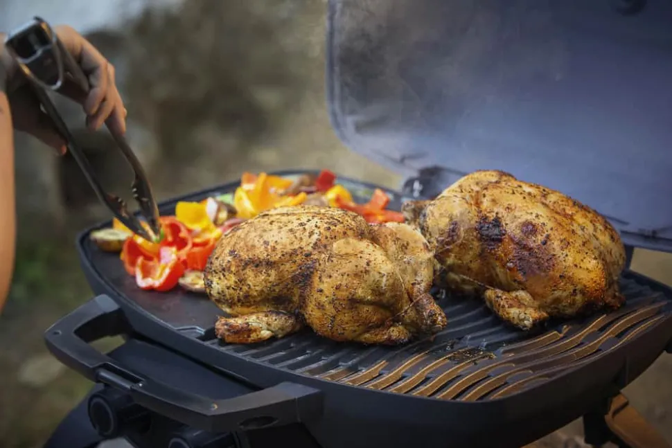TravelQ 285 Gasgrill