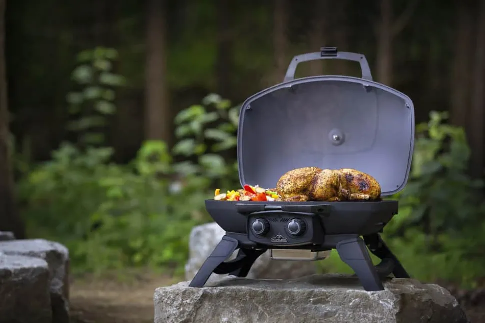TravelQ 285 Gasgrill