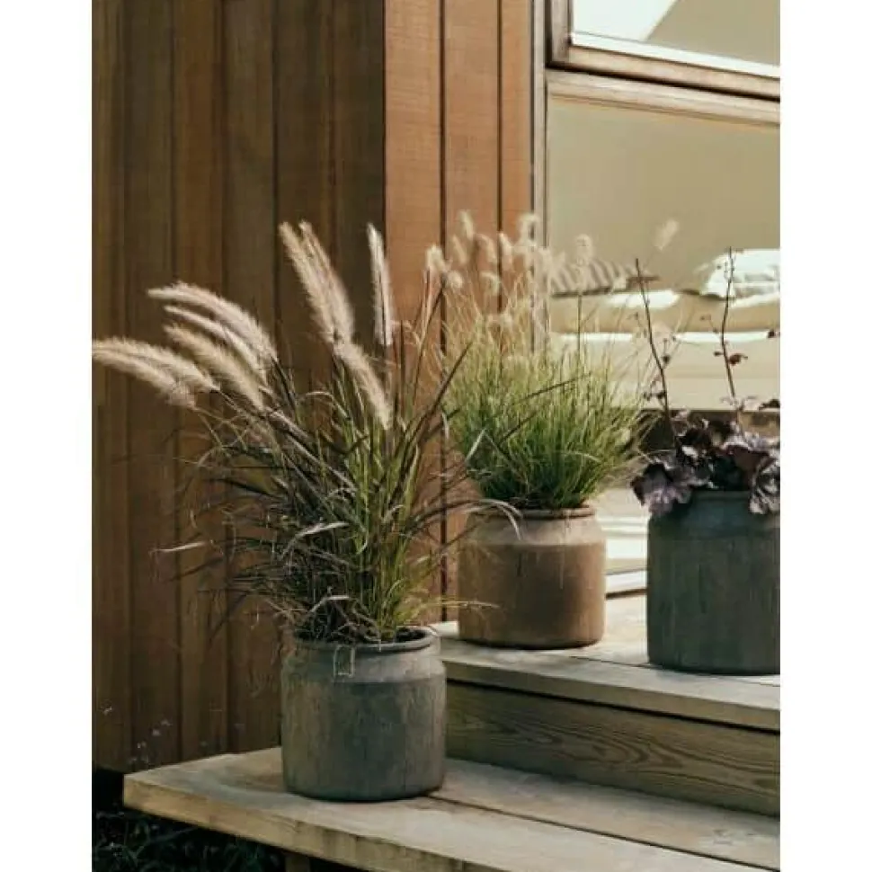 Uma Urtepotte