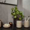 Ume Tandbørstekrus