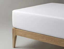 Vådliggerlagen