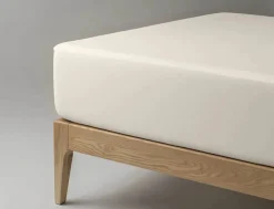 Vådliggerlagen