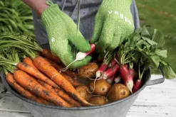 Veggie Skrubbehandske
