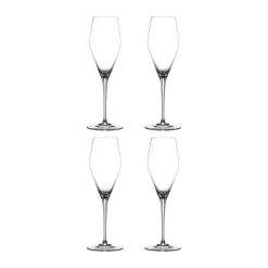 ViNova Champagneglas - 4 stk.