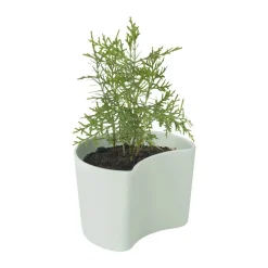 Your Tree Plantepotte m. fyrrefrø