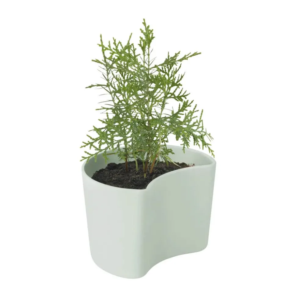 Your Tree Plantepotte m. fyrrefrø