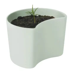 Your Tree Plantepotte m. fyrrefrø