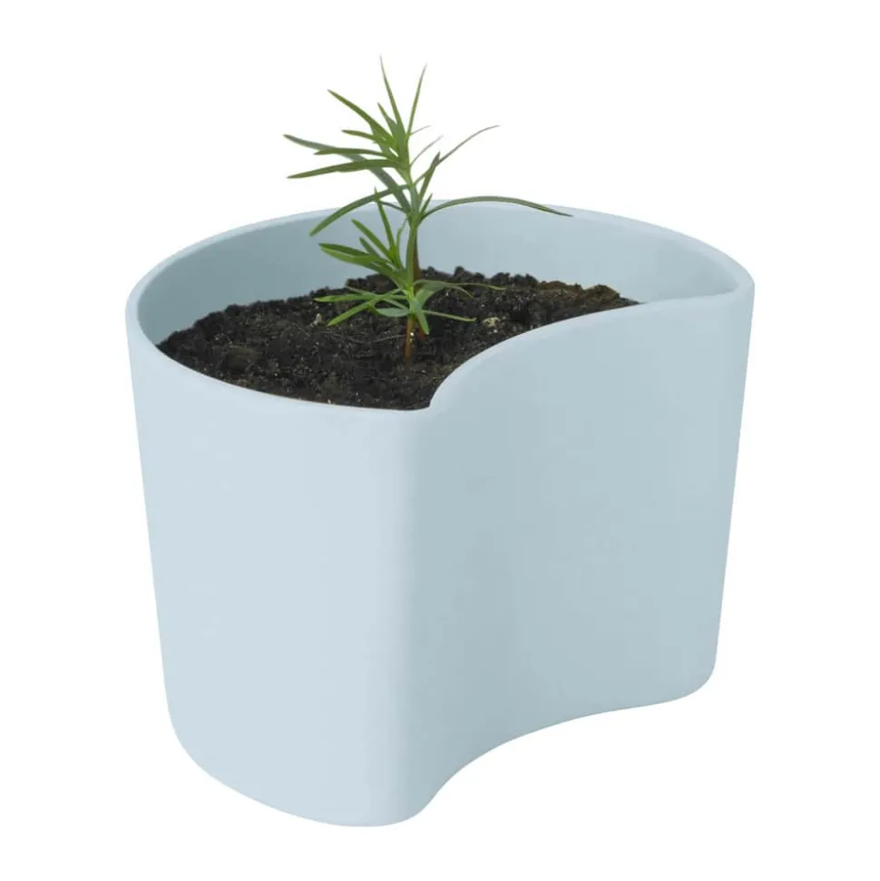 Your Tree Plantepotte m. fyrrefrø