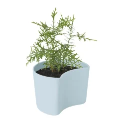 Your Tree Plantepotte m. fyrrefrø